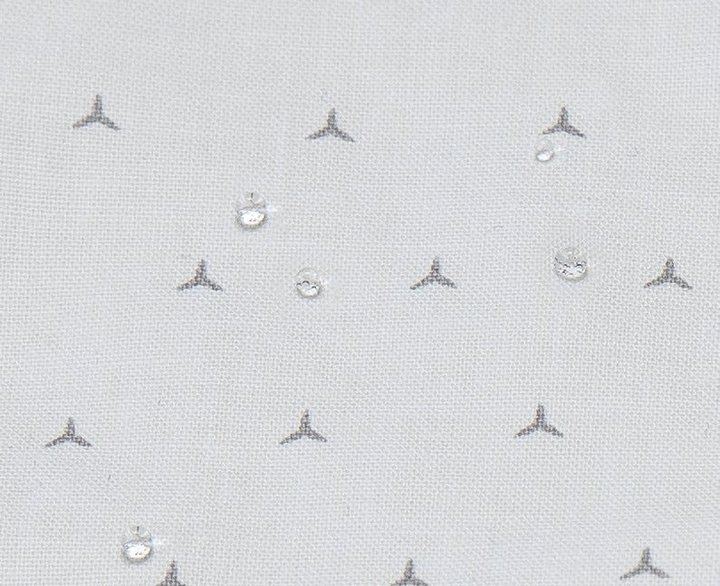 Avantgarde GTX (Tartufo)