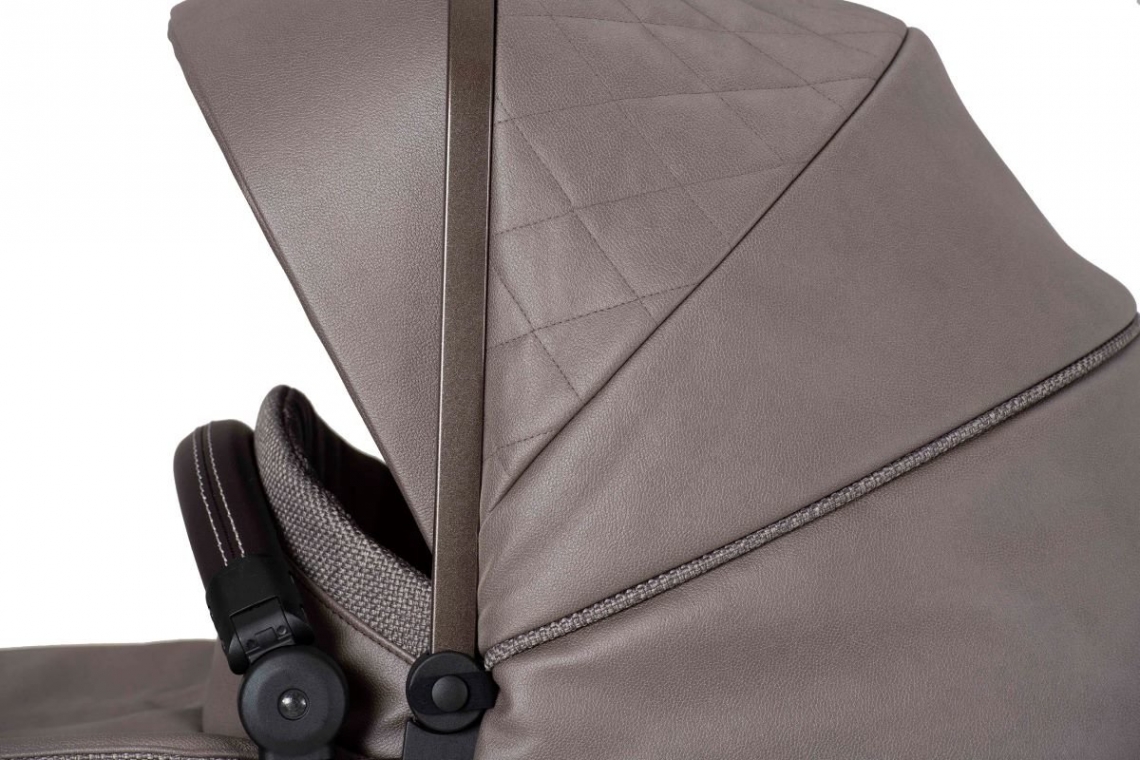 Avantgarde GTX (Tartufo)